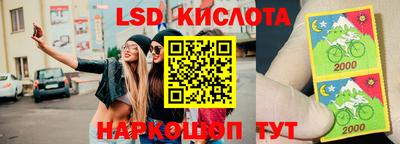 стаф Заводоуковск