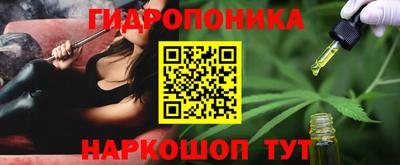 стаф Заводоуковск