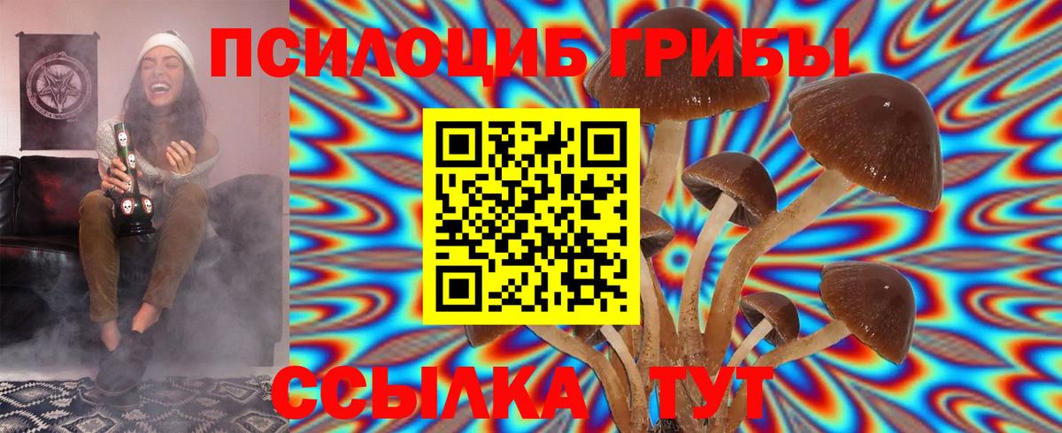 Псилоцибиновые грибы Cubensis  Вход с VPN  Верхняя Пышма 
