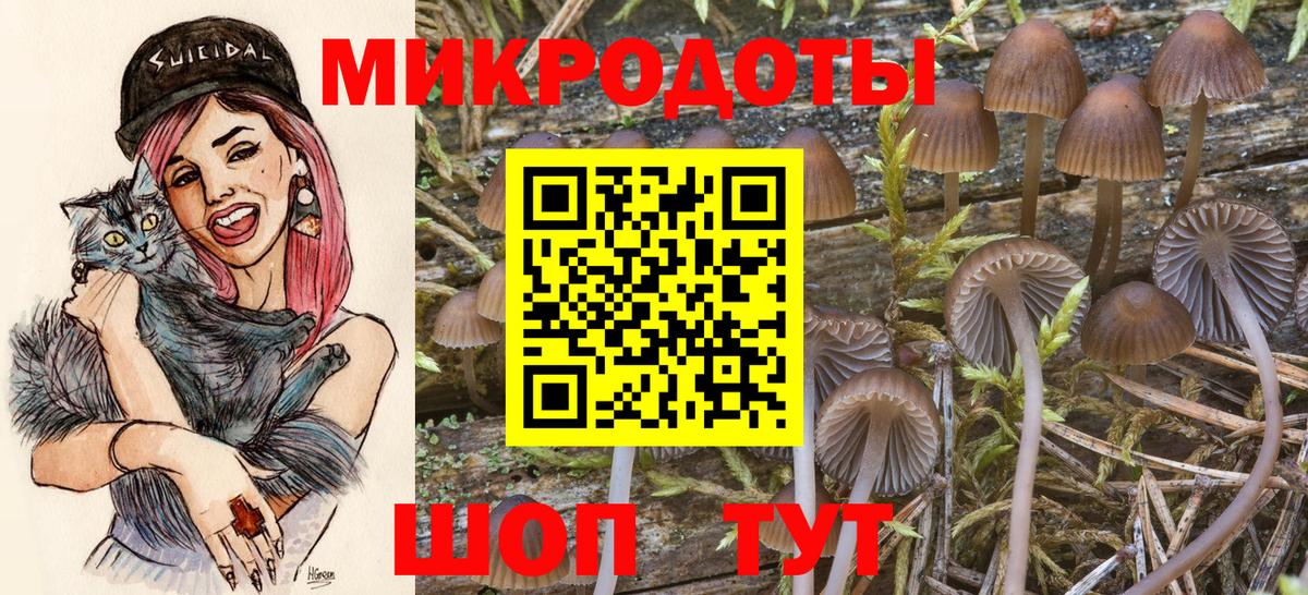 Галлюциногенные грибы Psilocybine cubensis Верхняя Пышма